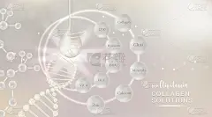 透明质酸+复合维生素和矿物皮肤溶液广告，白色胶原蛋白血清滴与化妆品广告背景随时使用，插图向量。