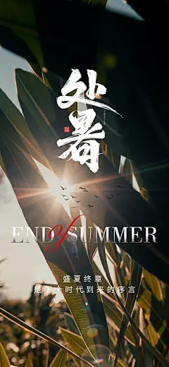 处暑海报-设计素材-shejisc.cn