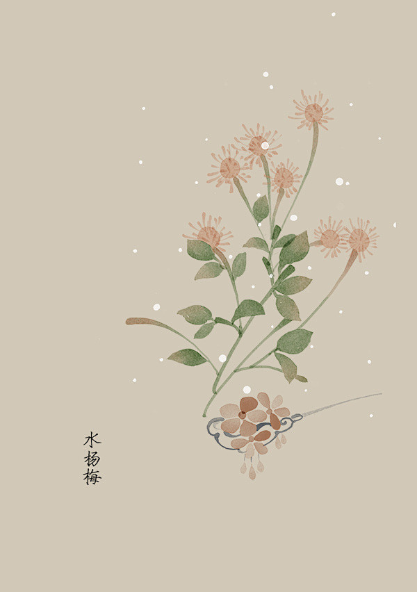 五月份的生日花17~31号-artist...