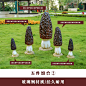 户外仿真蘑菇雕塑婚庆道具花园装饰园林公园种植基地羊肚菌类摆件-淘宝网