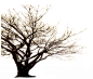 09475ba0e0356ef138592f989be815c814945e82175043-sIwbLH_fw1200