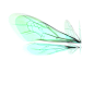 儿童话小精灵仙女透明蜻蜓蝴蝶翅膀PNG免抠图影楼后期设计PS素材