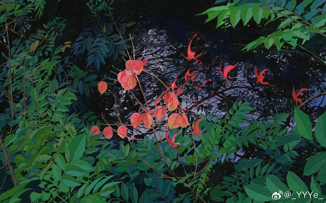 来自相册