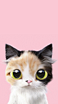 谁画的大眼猫咪，可爱到炸，你喜欢哪一只？ ​​​​
