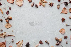 框架由干树叶，橡子和松果组成