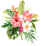 夏日手绘水彩花朵PNG