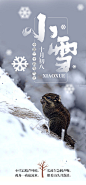 【源文件下载】 海报 二十四节气 小雪 简约 雪 松鼠 251855