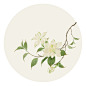 莳花_无轩__插画师作品_涂鸦王国gracg.com