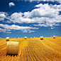 Farm field with hay bales by Elena Elisseeva on 500px