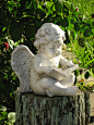 Cute Little Cherub | ::: Angels Among Us :::