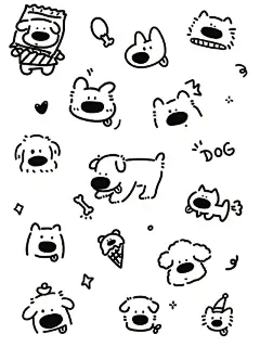 小熊泡泡 - 小红书