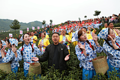 放慢镜头采集到文旅