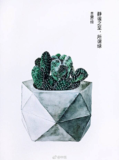 ooooooo·采集到文艺植物插画