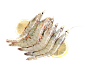 虾6