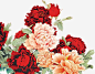 红色创意花朵新春高清素材 创意 新春 红色 花朵 元素 免抠png 设计图片 免费下载 页面网页 平面电商 创意素材
