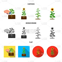 分离着色,豆,植物,一个物体,图标,蔬菜,商务,脚踏车,收集,发展