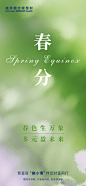 20240314-春分-6
