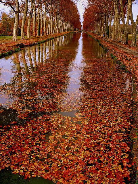 **秋，运河德龙河，法国