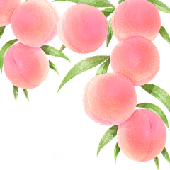 芫芫呜采集到绿植/果蔬