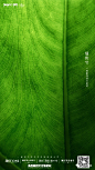 mmexport1552478091236