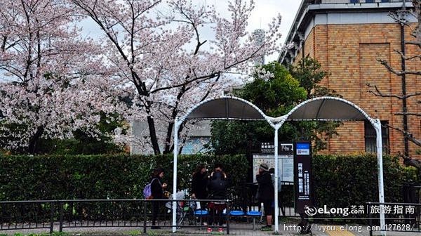 【日本】京都蹴上 赏樱花品美味豆腐宴, ...