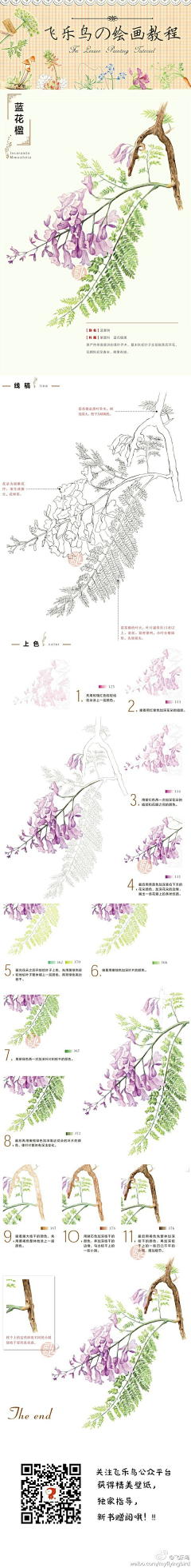 o丶镌镌兒采集到色铅笔手绘教程