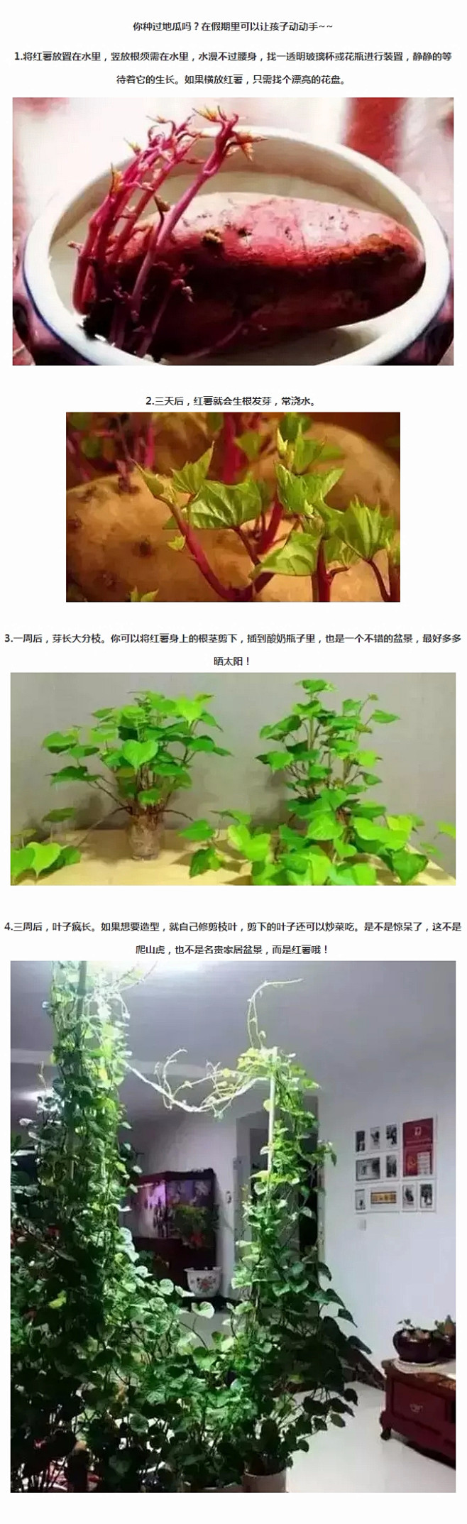 吃完的芒果别扔，一个妈妈做了这件事，奇迹...