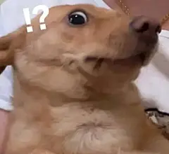 一些奇奇怪怪的表情包 - 抖音