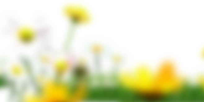 逼真虚化前景素材PSD (6)