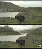 Dreadfort Game of Thrones - Season 4, Sven Sauer : Mattepainting of Dreadfort, Winterfell and Saltpans - Season 4.
A full making of this shot (Mackevision):
https://vimeo.com/100095868

Credits:
All rights by HBO
VFX-Company: Mackevision
Artists: Sven Sau