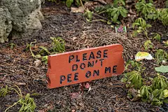 请不要在我的签名上撒尿