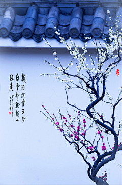 小风_1230采集到中国风 风景、广告