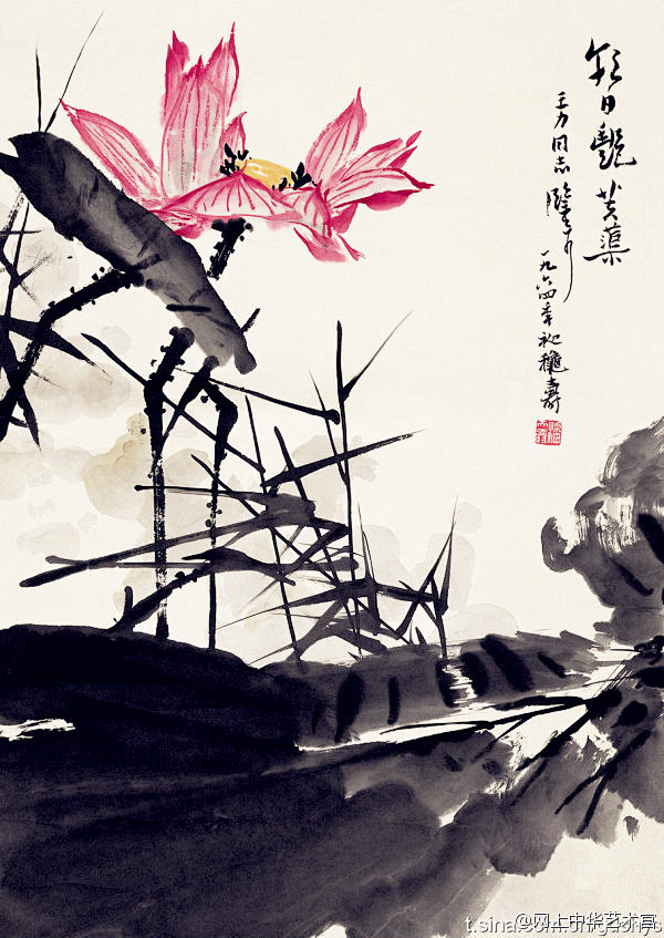 潘天寿荷花画微展