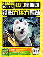 来自相册