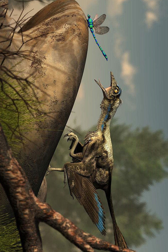 恐龙图鉴始祖鸟