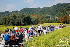 fawzO9Lk采集到地产发布