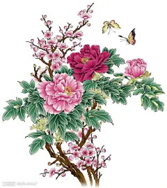 牡丹
