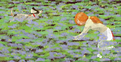 YulaYu采集到插画