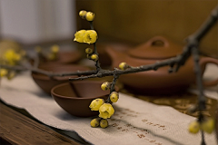 🍂小燕子采集到茶具