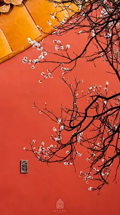 有一种红叫故宫红 ​