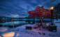 挪威罗加兰，斯塔万格，冬天，雪，晚上，灯光，城市，房子 壁纸 - 1920x1200