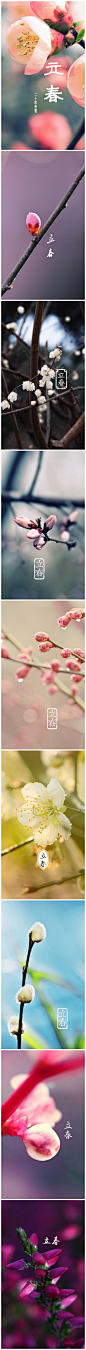 【二十四节气 立春】立春到，又一年。