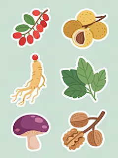 一组6个不同元素的规整排布系列素材集合，保持与原图一致的平面插画风格，纯色背景，每个元素均为中药材类目，风格统一：圆润的线条勾勒，鲜亮饱满的色彩填充，清晰的边缘轮廓，写实又略带卡通感的造型。元素内容包括：1. 一串完整的红色枸杞枝，带有绿色叶片；2. 几颗饱满的黄色桂圆果实，带外壳和果肉细节；3. 一株带根须的人参，顶部有红色果实；4. 几片完整的绿色银杏叶，叶片脉络清晰；5. 一朵盛开的紫色灵芝，菌盖有光泽；6. 几颗连枝的棕色核桃，外壳有纹理。所有元素排布规整，大小协调，保持一致的插画风格和视觉质感。