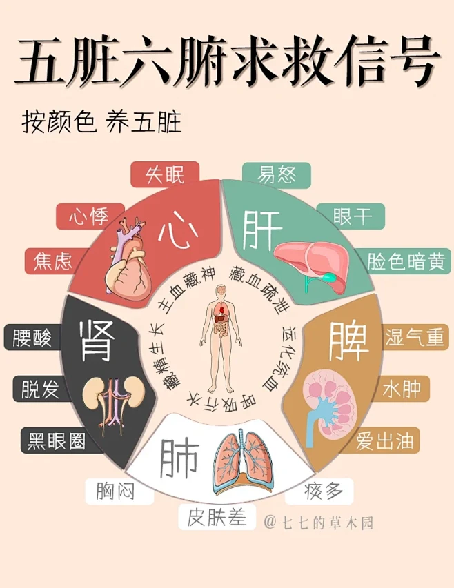 女生五脏如何保养看求救信号按色调养-花瓣网