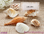 Wedding Decoration Ideas BETER-ZH006 "Shells by the Sea" Authentic Shell Placecard Holders with Matching Placecards(Set of 6)   #桌卡# #席位卡# #婚礼布置# #松江婚庆用品批发#  #wedding# #结婚#  http://item.taobao.com/item.htm?id=19733478516