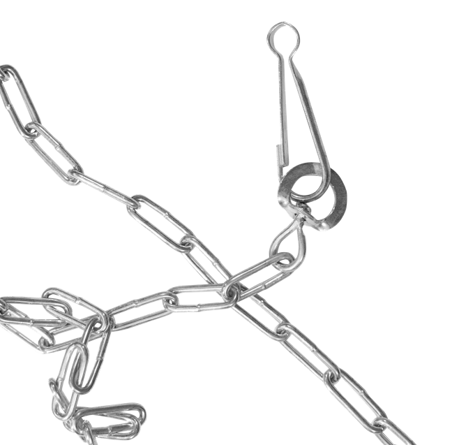 chain 1 (no shadow)