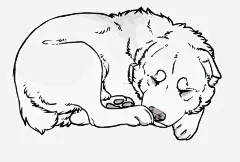 矢量萨摩幼崽png免抠素材_新图网 https://ixintu.com 萨摩耶 可爱 幼崽 宠物 幼犬