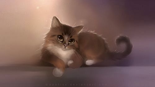 猫咪
