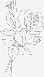 一支玫瑰花线稿素材免抠png素材_新图网ixintu.com