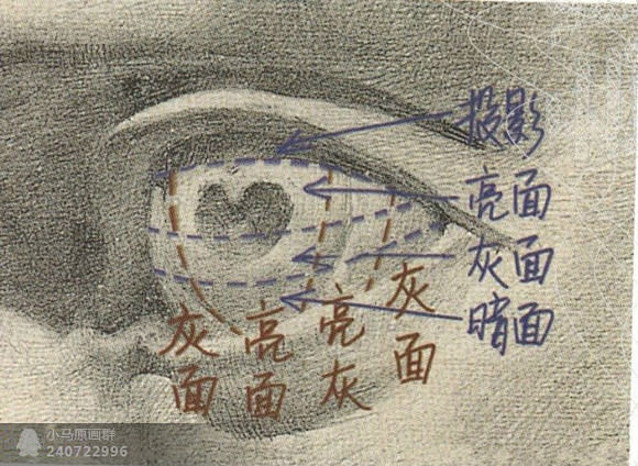 看完这篇素描五官塑造分析图,你就是素描高...